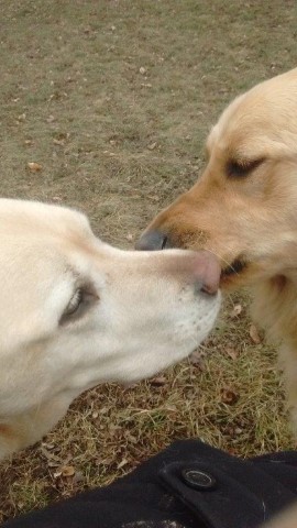 Can I Kiss You, Just on the Cheek
